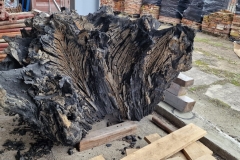 20230214_094346-scaled