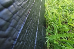 IMG_20200714_161801-scaled