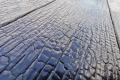 IMG_20200714_161829-scaled