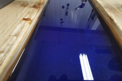 IMG_20210113_160320-scaled