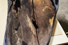 IMG_20220816_204005-scaled